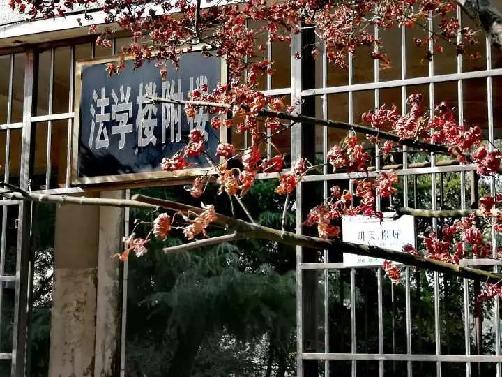 湘大简陋自习室,湘大自习室好不好