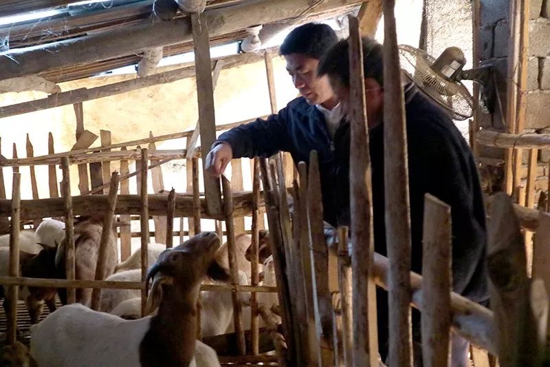 玉林市白松涛调研活动,白松涛访谈