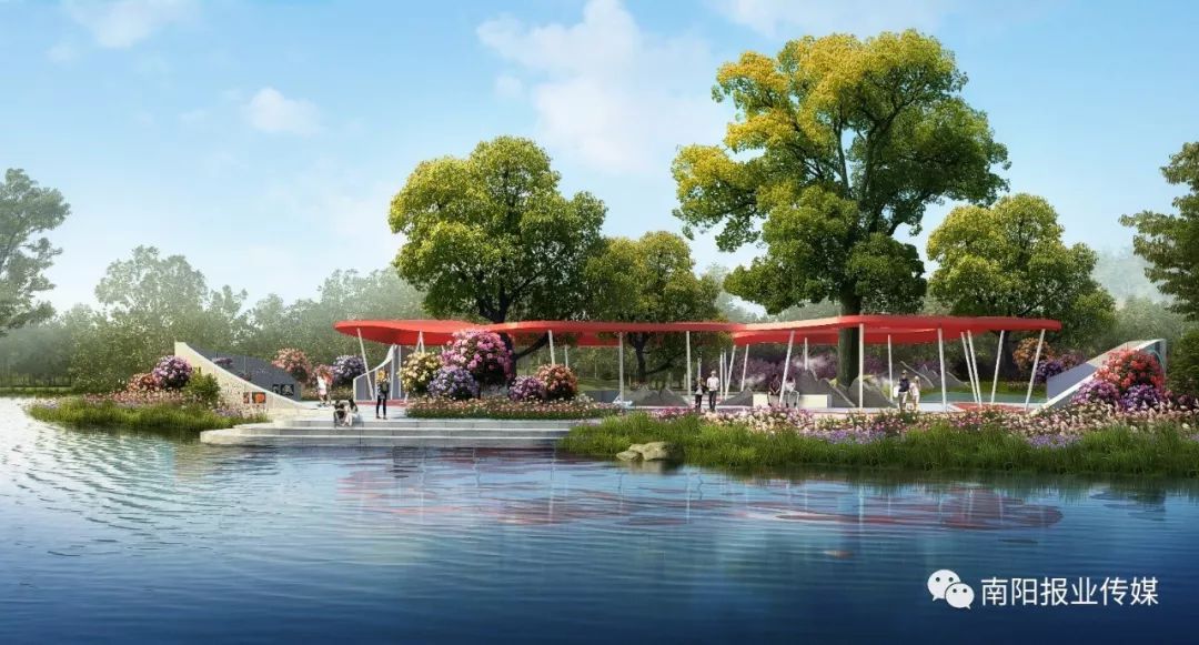 最美南阳月季园,看到美丽的月季花心情豁然开朗