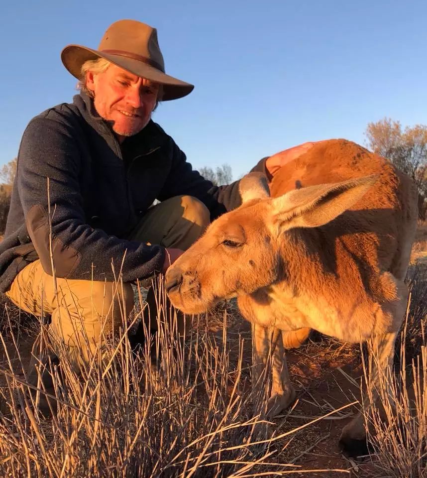 澳大利亚袋鼠手撕铁桶,袋鼠徒手捏爆铁桶