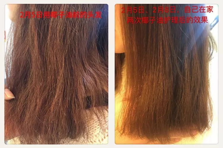 神奇的椰子油,各路明星疯狂打call的精致海鲜