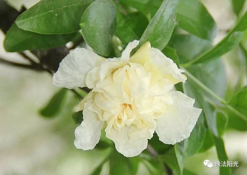 鏆楅娈嬬暀2018,钃︾劧鍥為鏆楅娈嬬暀