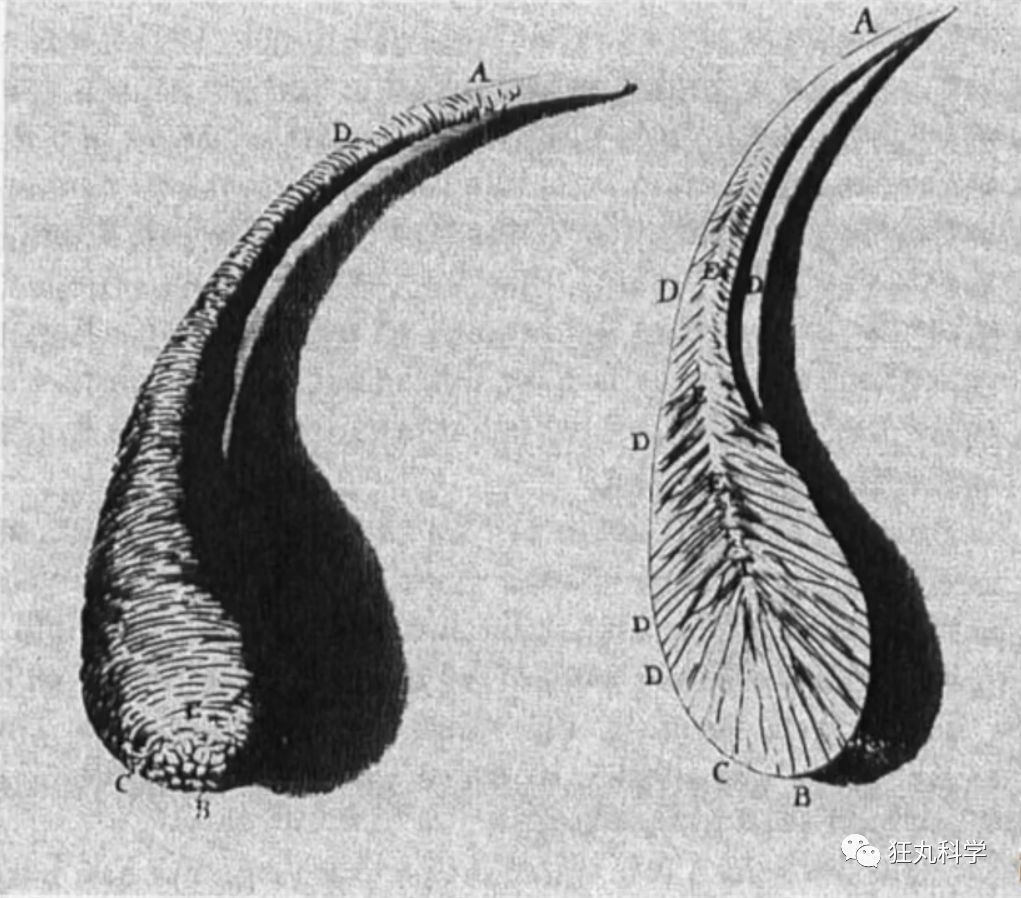 弹珠打玻璃会碎碎吗,玻璃被钢珠打碎了怎么修复