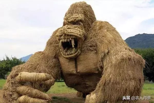 农业与艺术,农业可以很艺术