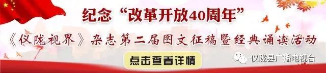 汇聚巾帼力量建功乡村振兴,乡村振兴巾帼建功总结