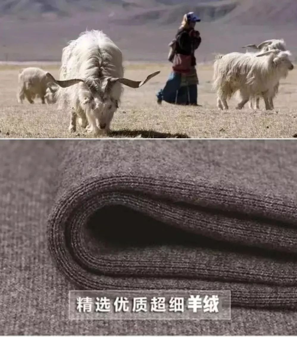 寒冬来袭！俗话说百病从寒生，人老腿先老，你该买条羊绒裤御寒了！