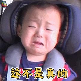 2019年上海市规划,上海公布十三五规划