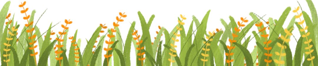 能不能放心吃,可以放心吃的猪肉