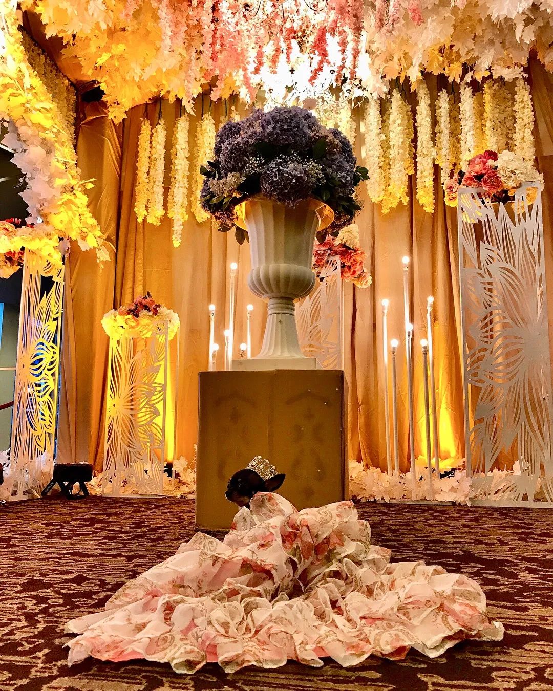 为什么新婚不能带狗,结婚要带狗吗