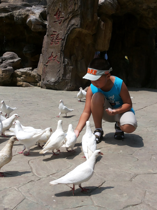 山海关秦皇岛三日游,山海关三天两晚游