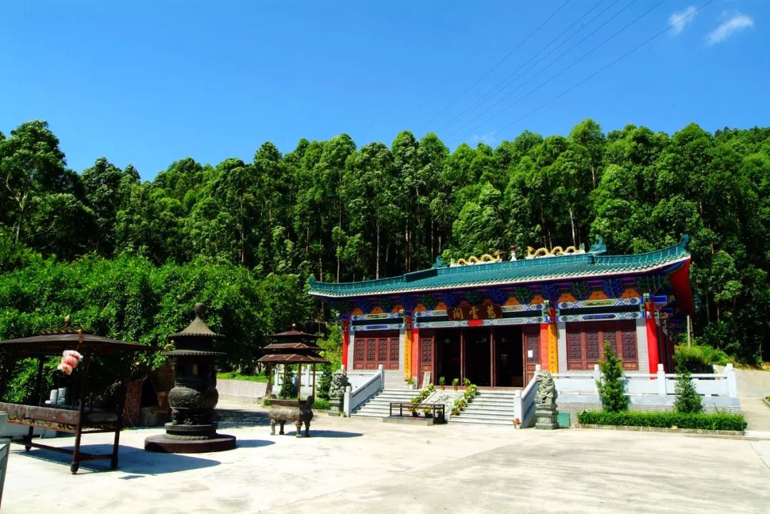 这里是新桥小学,这里是新桥