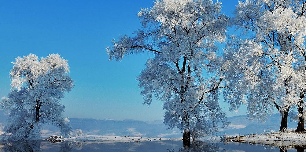 雪博会今启幕,巡馆亮点“剧透”l吉林省委、省政府印发《关于加快推进吉林省全域旅游发展的实施方案》,做大做强冰雪产业