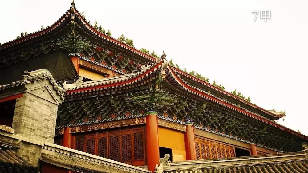 摄影学会了能拍什么,摄影到底应该拍什么