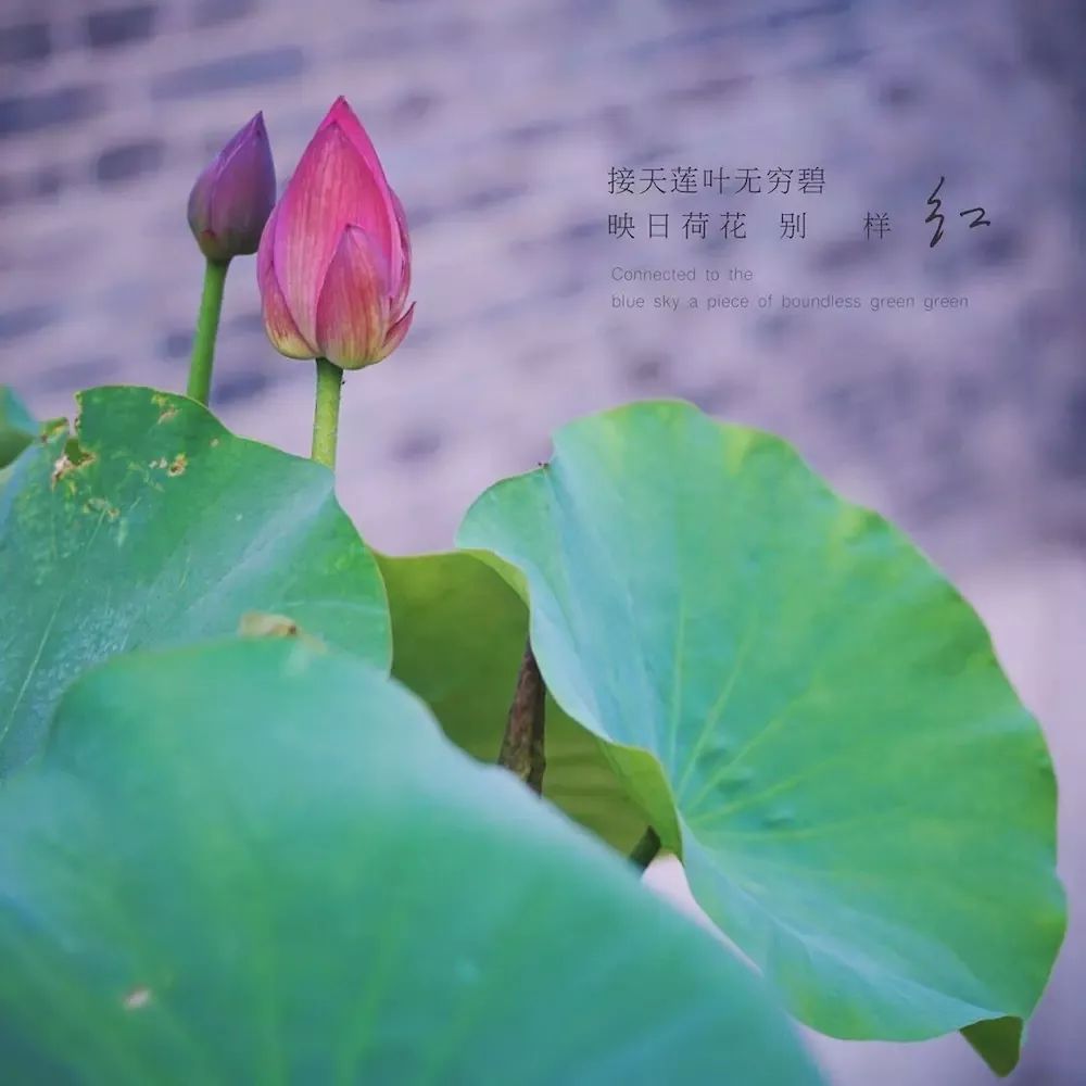 摄影学会了能拍什么,摄影到底应该拍什么