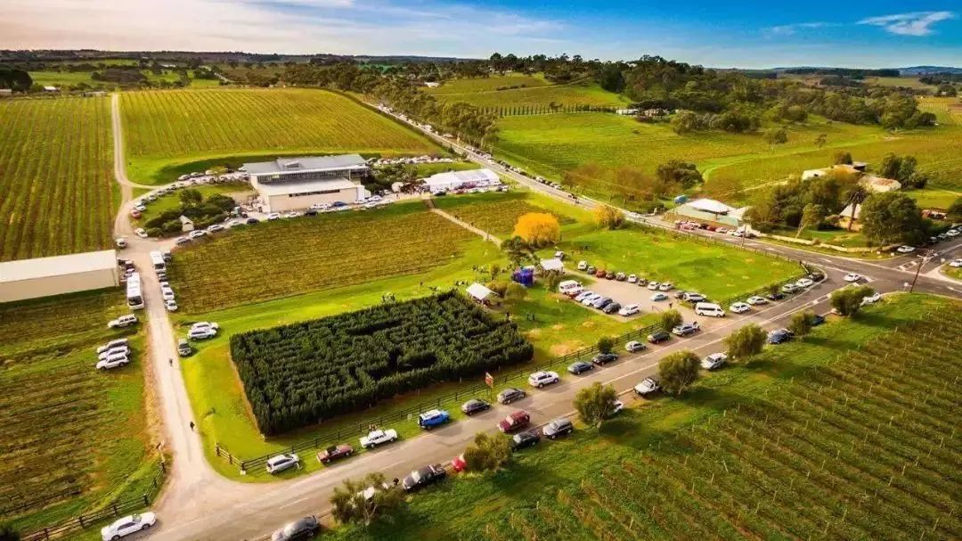 鍐滃簞鍐滃満鍒涙剰鏅,浼戦棽鍐滃簞鐗硅壊鏅