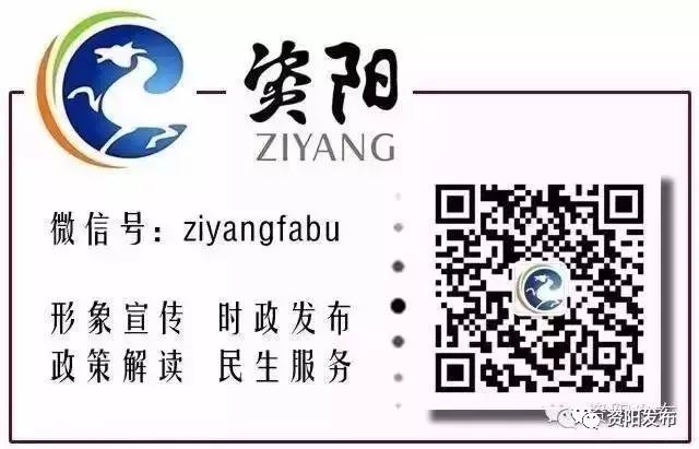 熊猫萌到什么程度,熊猫萌