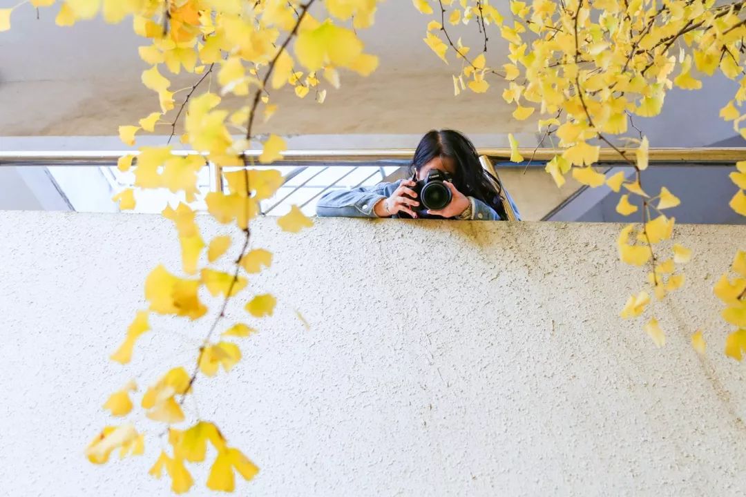 “妈，我在华师看了一场金黄色的雪！”