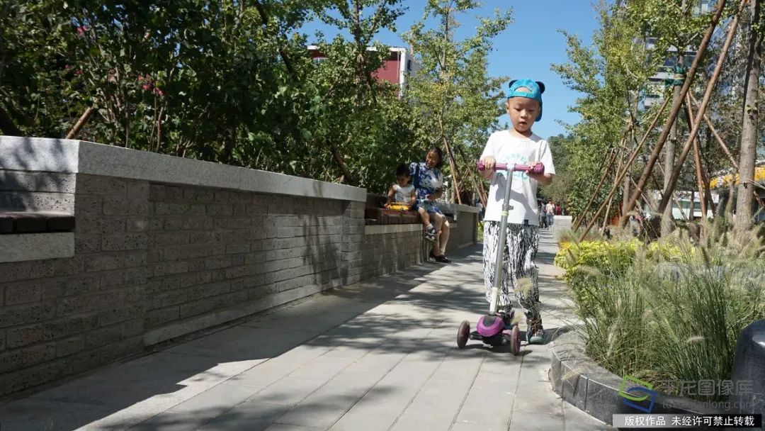 眼里只有南锣鼓巷、国子监？北京最新10条高颜值街巷在这呢