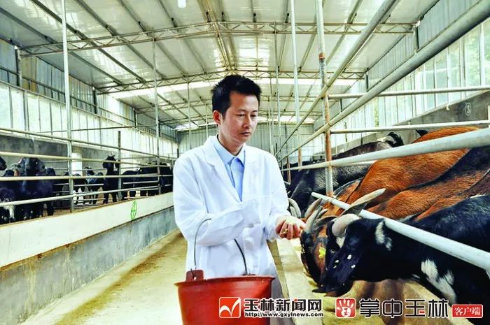 你真的了解博白吗？来了解一下！