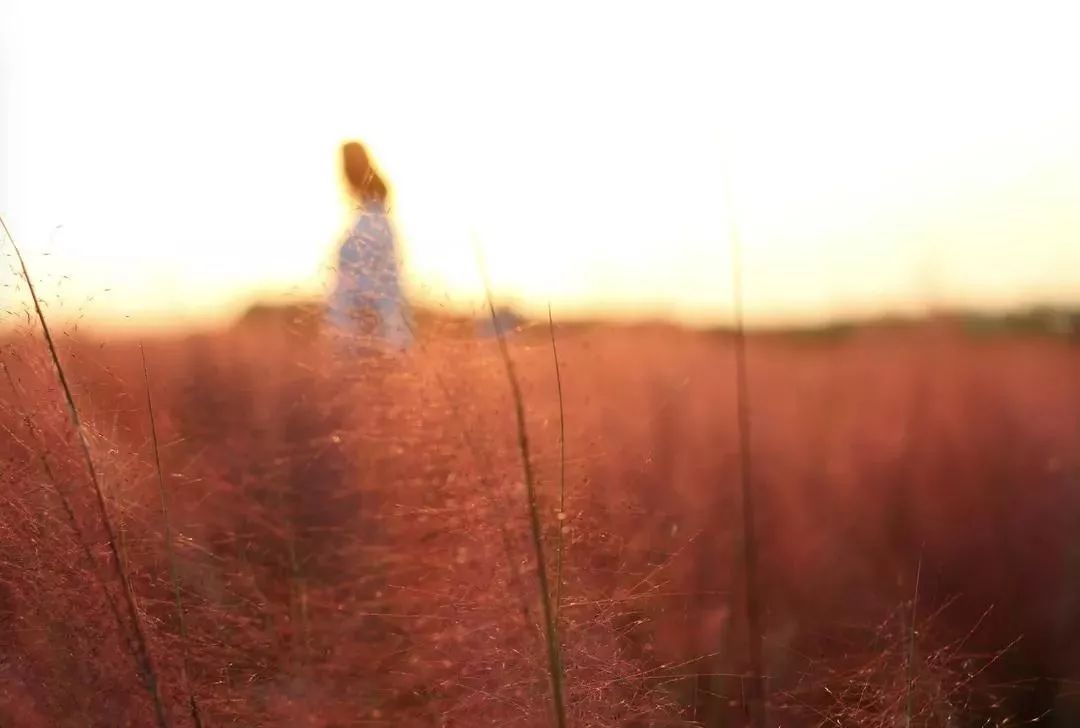 你还不知道乡村旅游吗,你还不知道哪些地方好玩