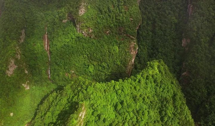 遂川家乡好风光,遂川县有哪些美景