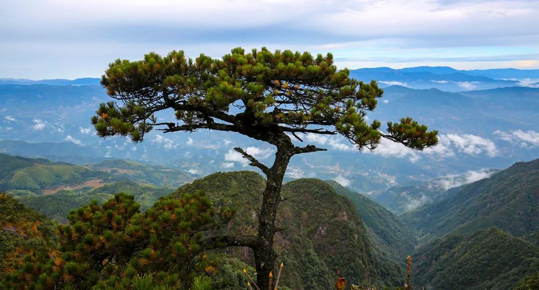 遂川家乡好风光,遂川县有哪些美景