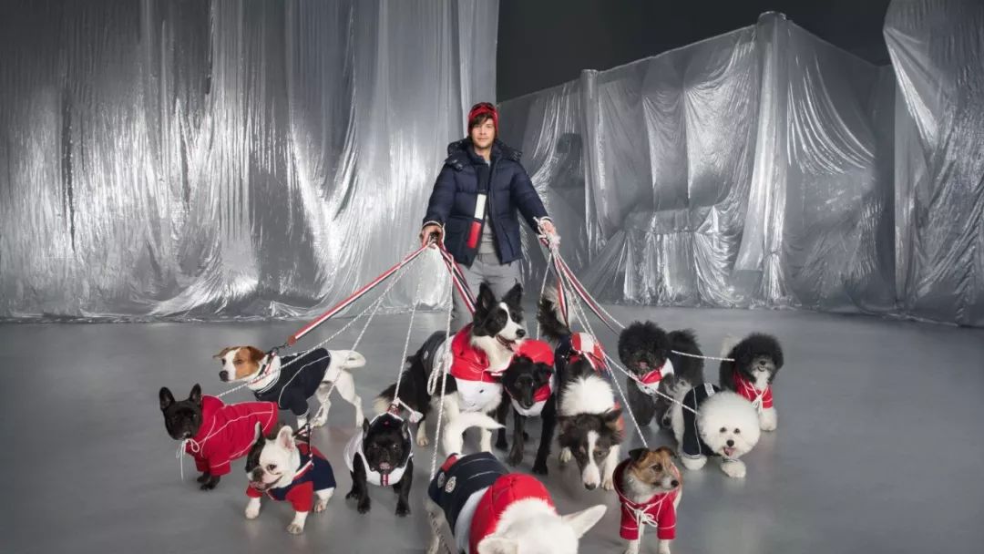 小雀斑埃迪雷德梅尼穿波司登,小雀斑埃迪雷德梅尼身穿波司登