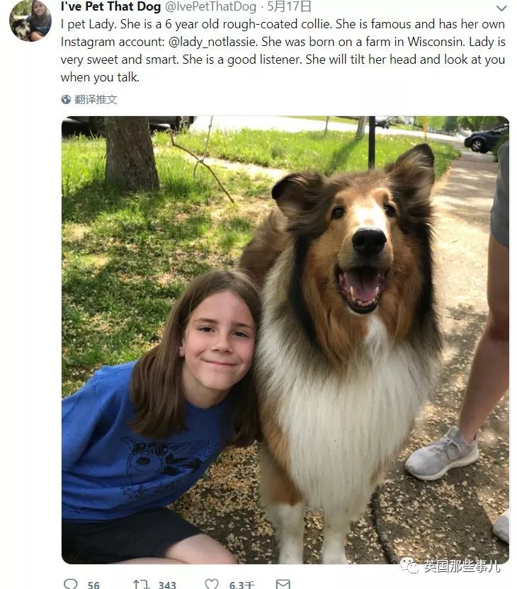 10岁男孩完成所有的男孩的梦想,10岁男孩梦想