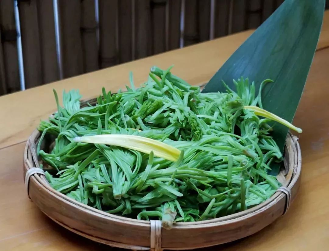 成都最好的素食火锅,成都火锅素食哪家好吃