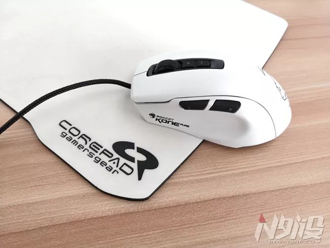 白冰豹子,黑冰和白冰视频