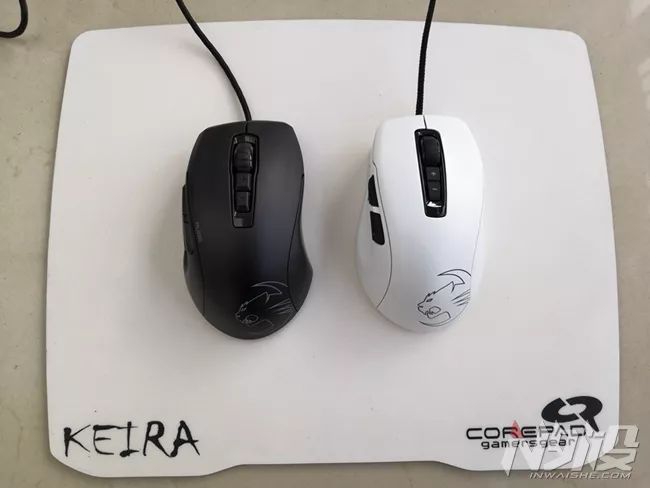 白冰豹子,黑冰和白冰视频