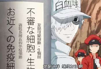 姨妈巾治百病,包治百病的姨妈巾