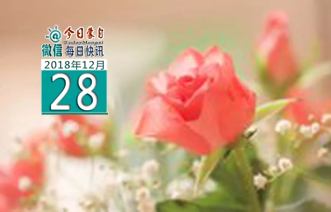 快报｜来了，蒙自最新时讯！（12月28日）