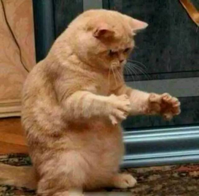 邹城在哪个省的什么位置,邹城属于哪一个省