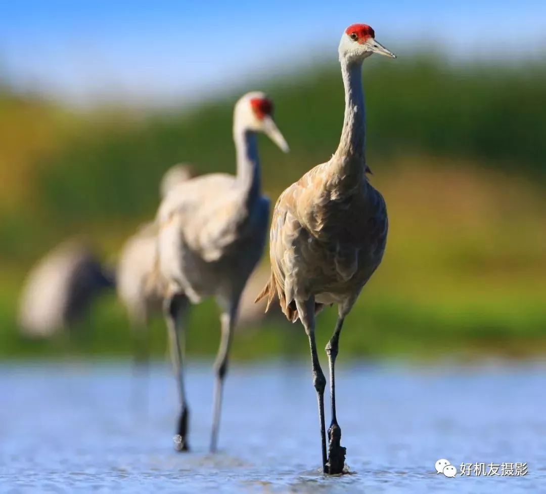 摄影初学者怎么选镜头,摄影初学者用什么镜头最好
