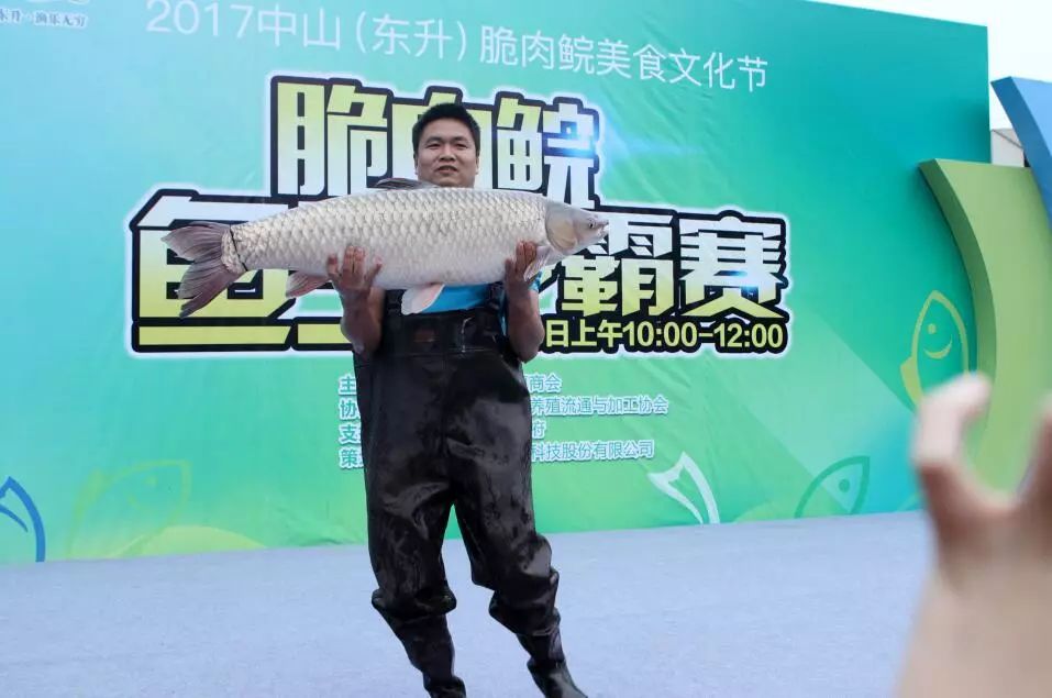 中山跨年活动有哪些,一大波假期正在来袭