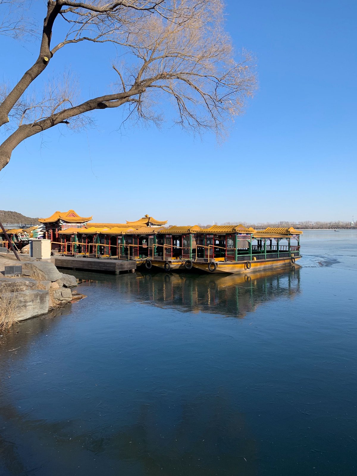 苹果xr主要是哪个摄像头拍照,苹果xr到苹果15前后置摄像头