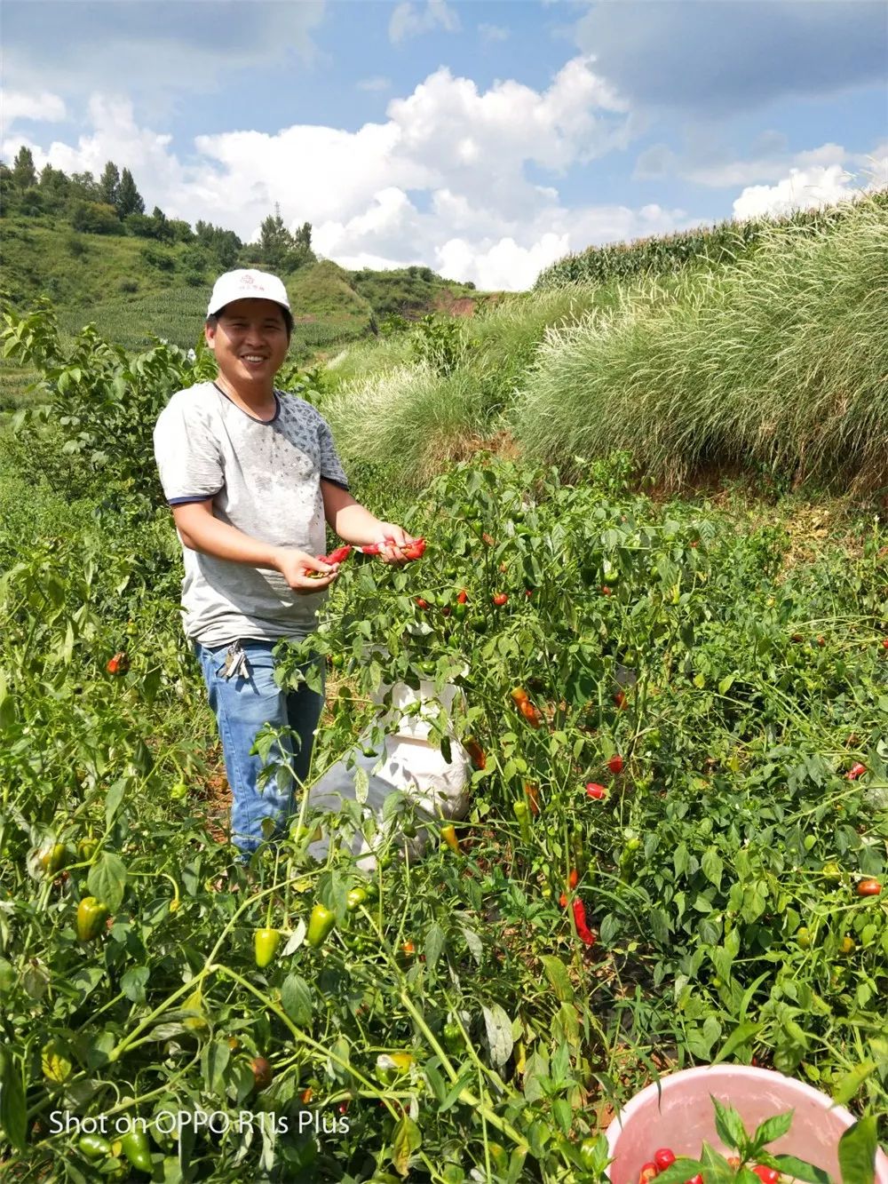 能文能武能将的驻村第一书记“李兵”