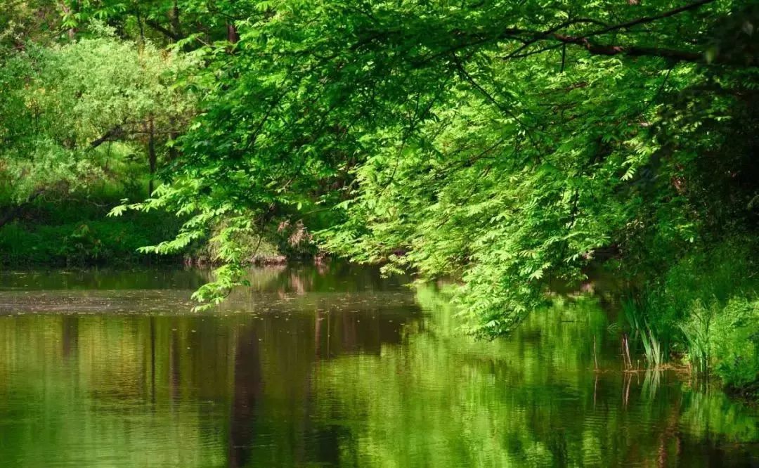 上海浦东2023年gdp增量,浦东gdp占比