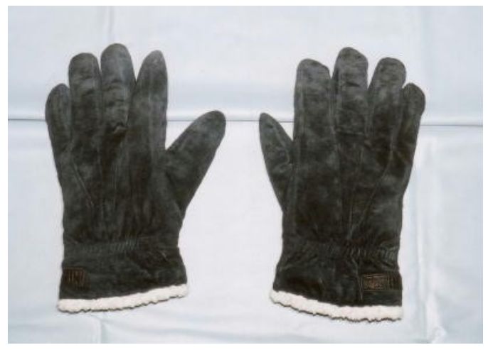 世田谷一家灭门案,世田谷一家灭门悬案凶手