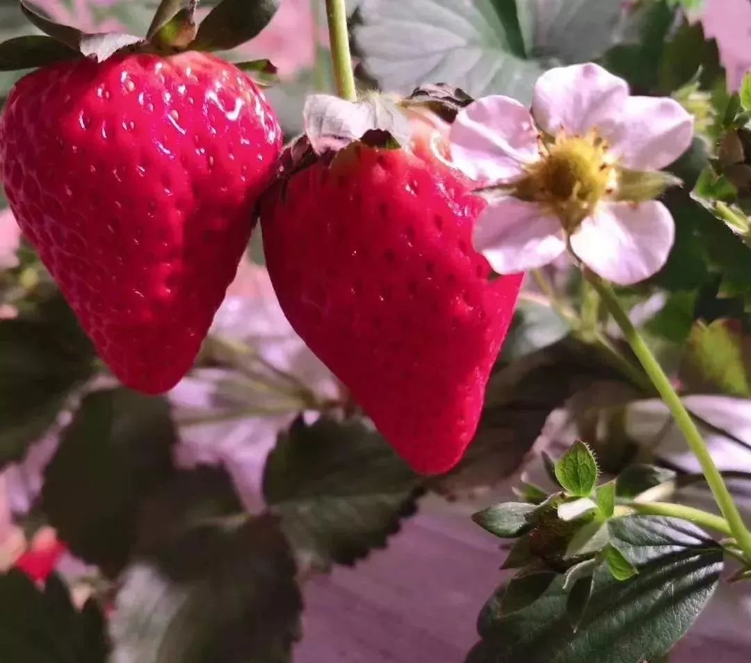 玩的地方推荐三天游,三天两夜旅游强推