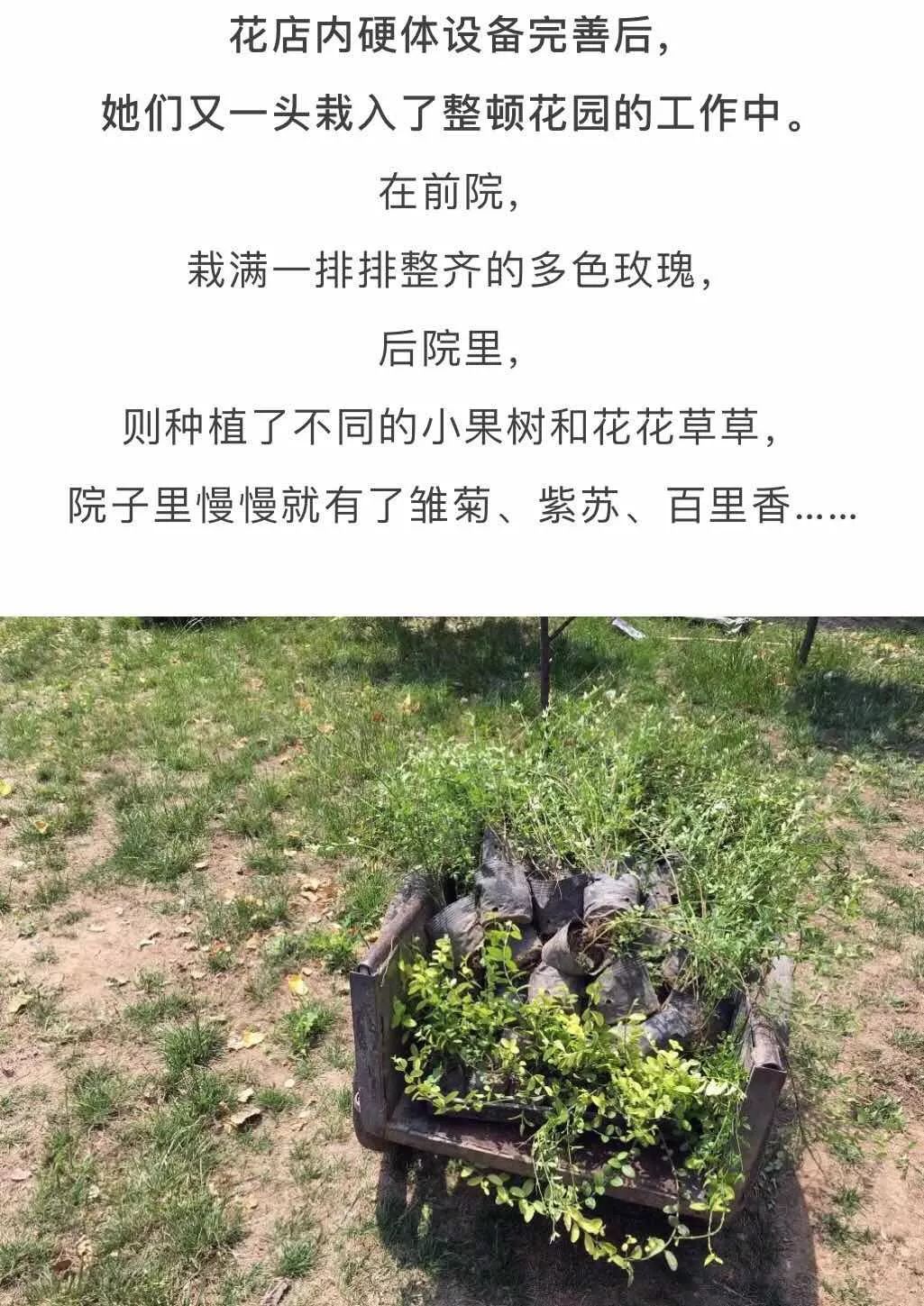 北京才女徐静蕾,徐静蕾李亚鹏北京台