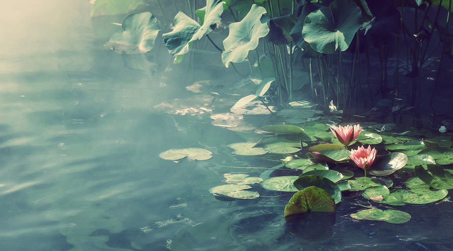 比特币涨了多少倍,币特比曲线图怎么看