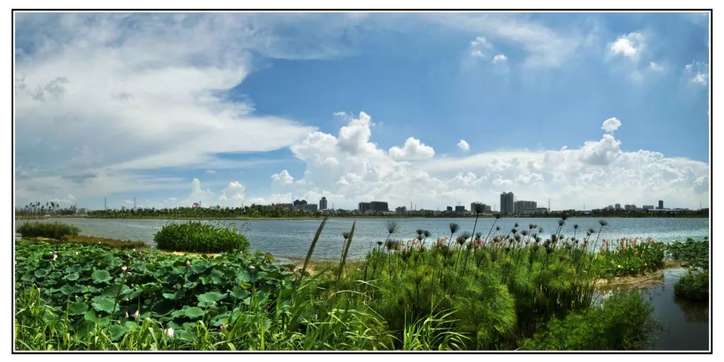 缘起海珠｜与你一起走过改革开放40年的海珠区