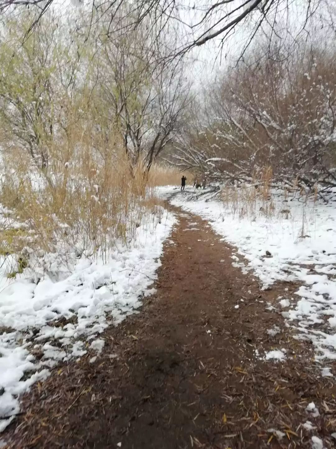 一个石首吧友的新年梦