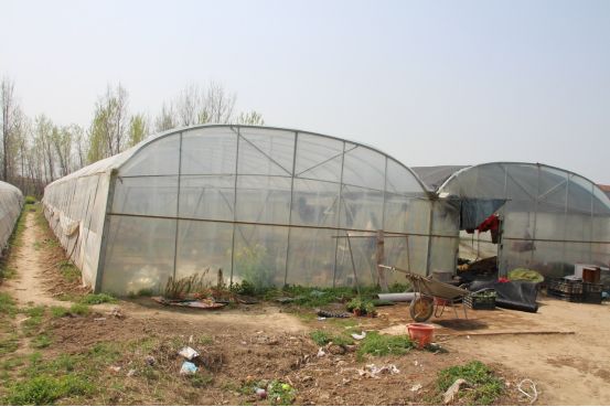 夏邑县特色农村,夏邑县前十村庄