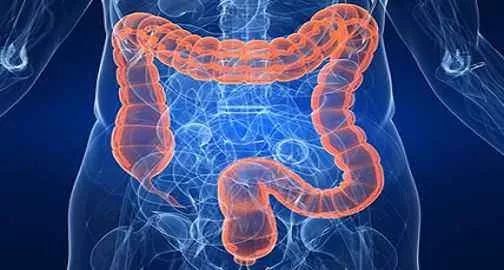 关于体检，看看你做对了吗？