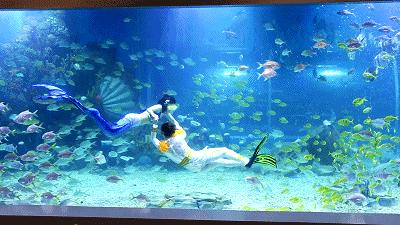 长沙都有哪些一线品牌,长沙新晋打卡排行榜前十名