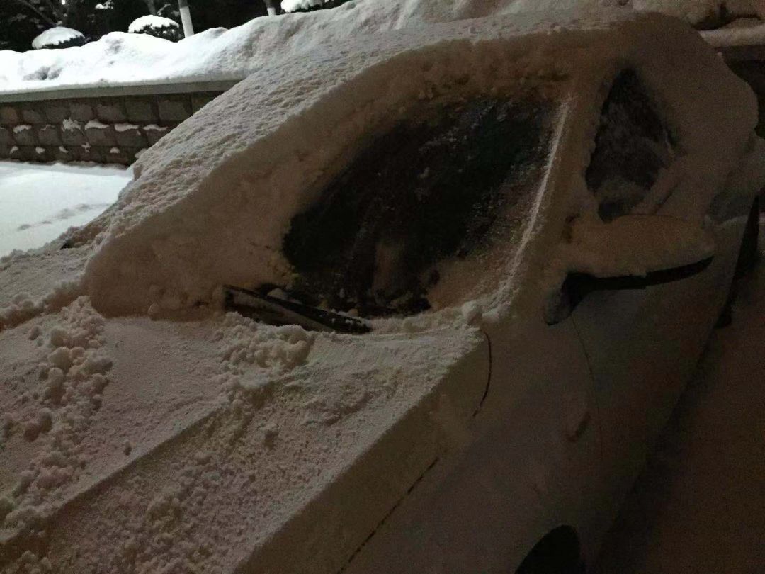 「微知识」我被冻住了！怎么办？！在线等