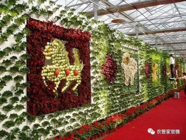 近期农业种植致富新模式,未来农业赚钱新模式